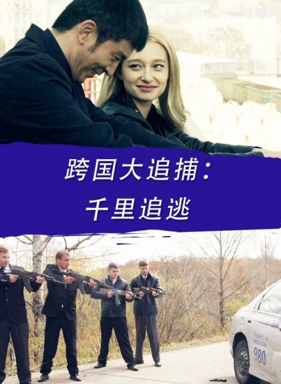 跨国大追捕(千里追逃)-电影-高清在线观看-hao123影视
