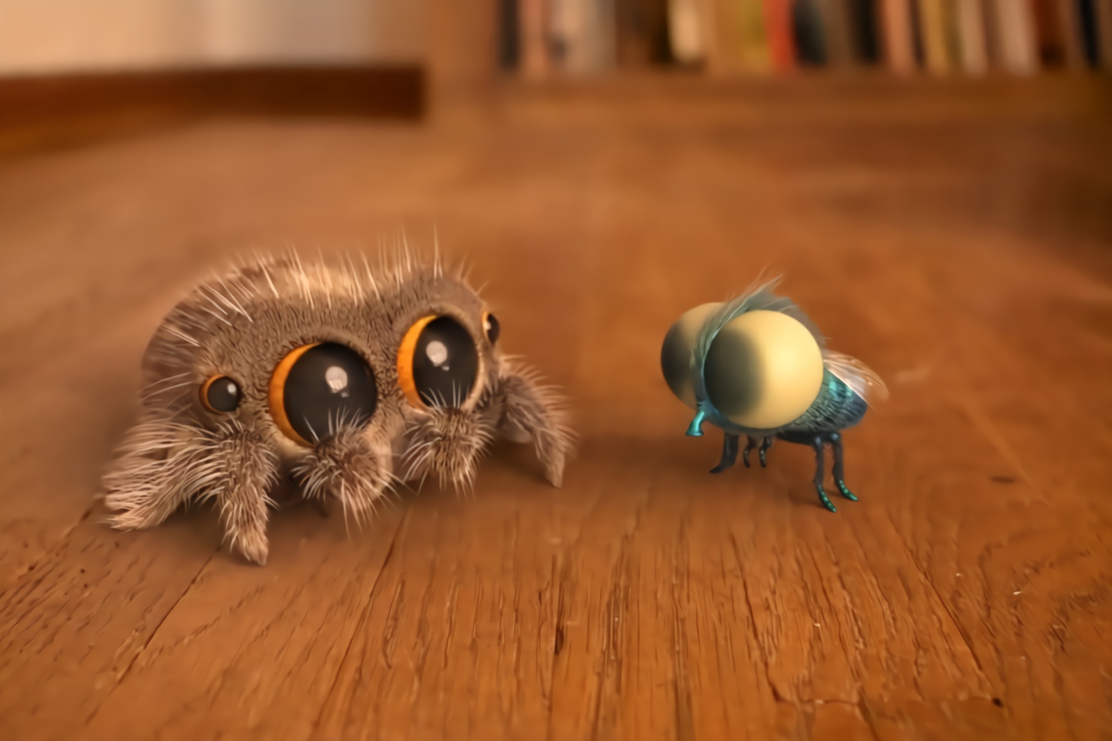 趣味动画短片《渴望朋友的小蜘蛛》,怎样和一只可爱萌物交朋友?