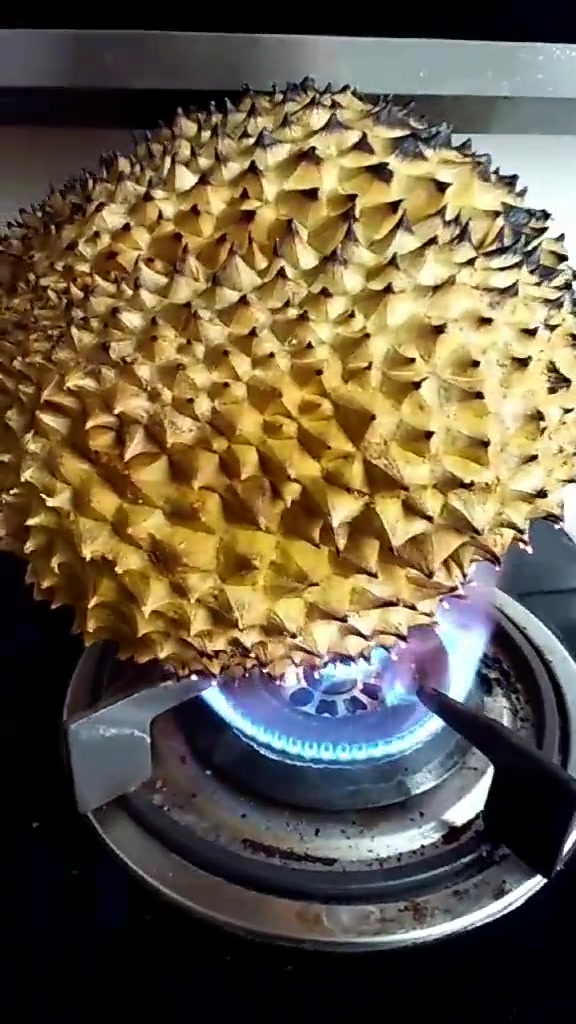 都说火烧榴莲好吃,刚烧邻居就找来了