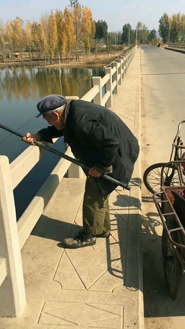 老爷爷一看就是钓鱼高手!姜太公钓鱼愿者上钩不愿意顺水流!