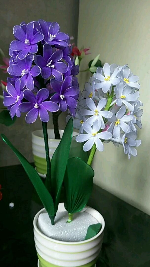 生活小妙招#风信子丝网花美美哒