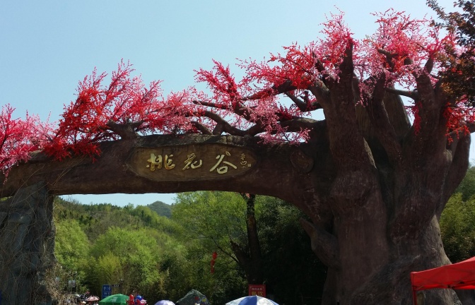 商洛丹凤桃花谷,竹林桃花三两枝,商洛风景你先知