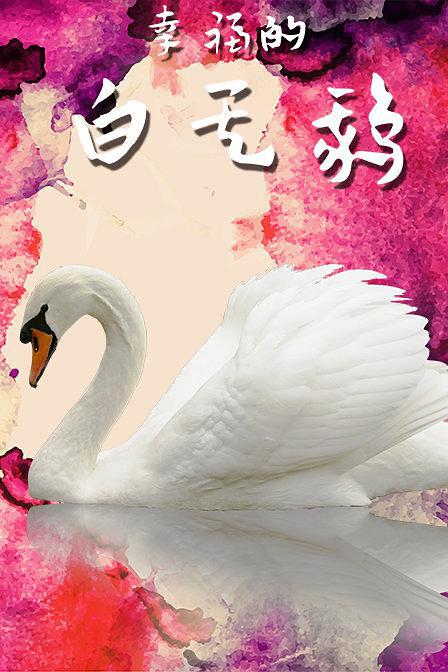 幸福的白天鹅普通话2011剧情网络大电影