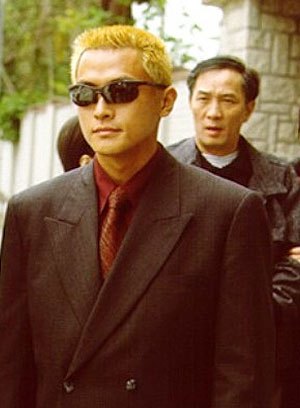 类似特警飞龙的电视剧