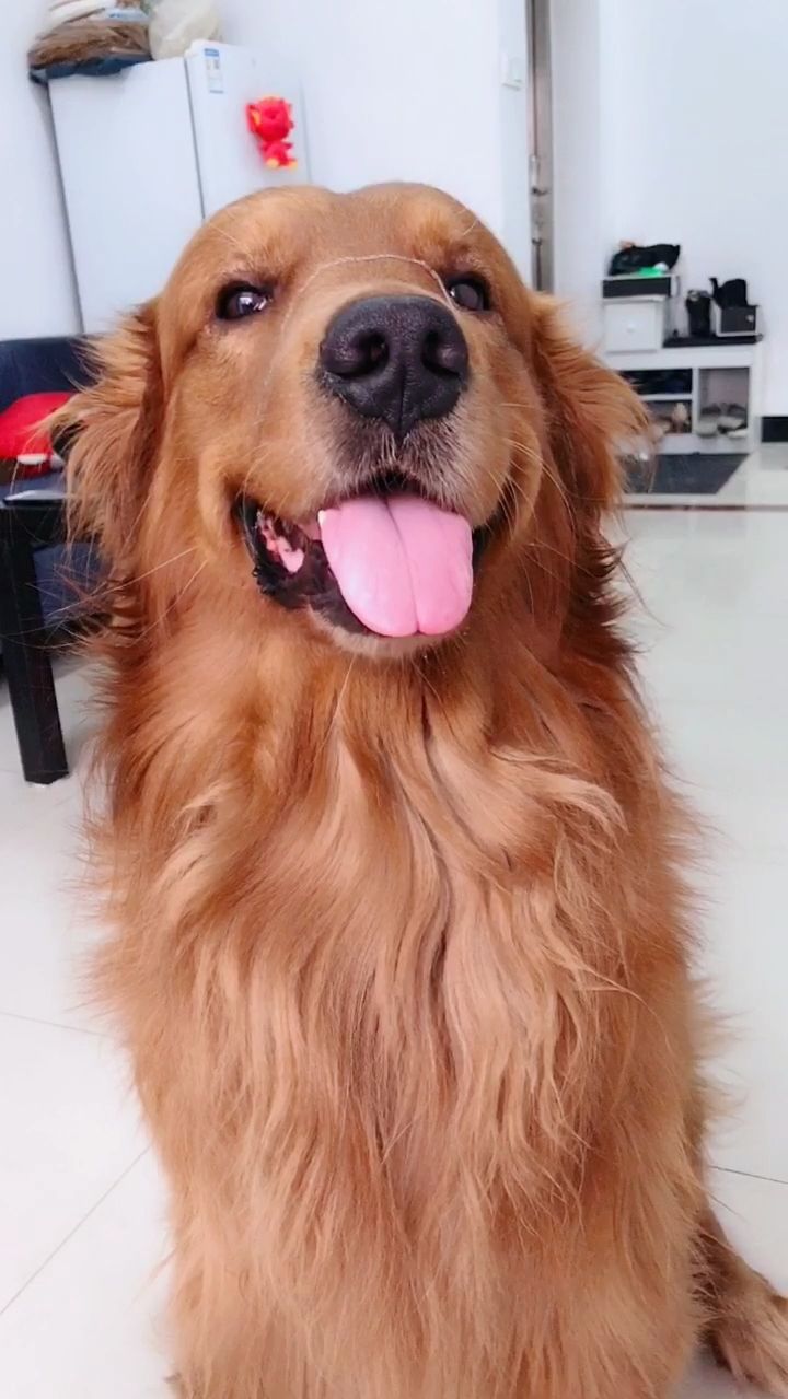 你挂根粉条在鼻子上干吗?