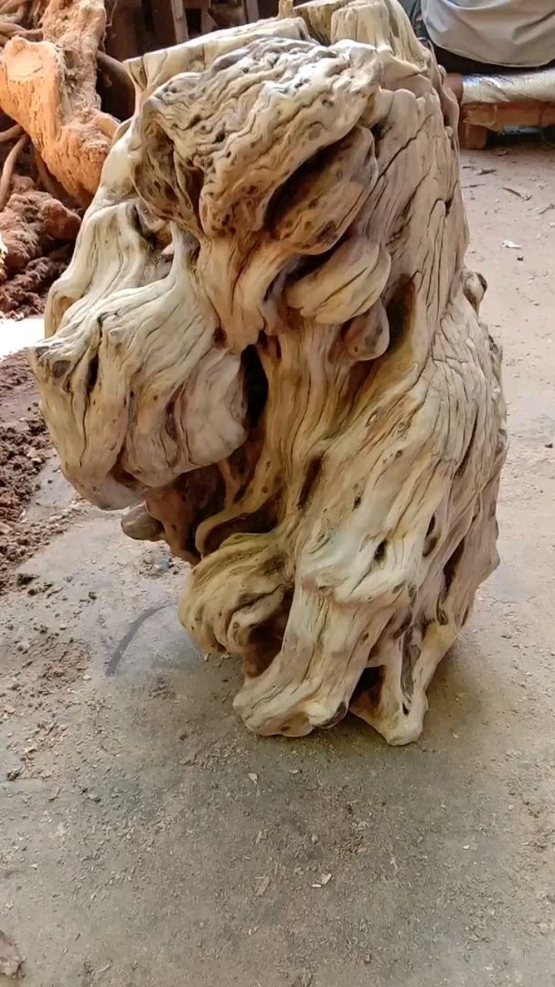 凉山会理出名的石榴木