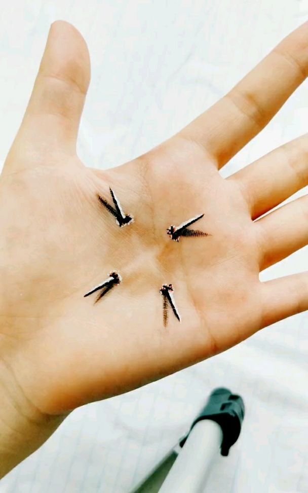 手心手背都是受,穿出来的钉子