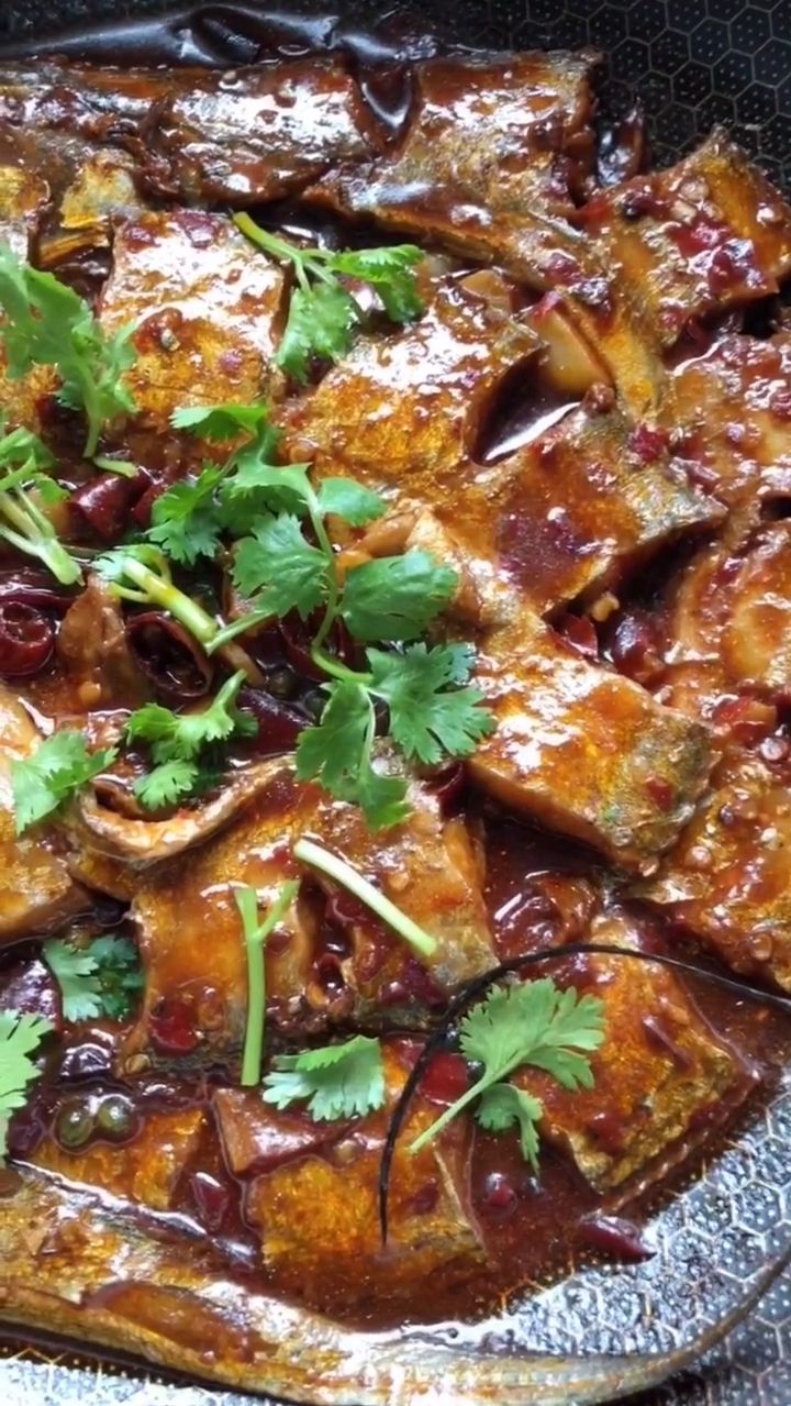 盘龙鱼!了解一下!