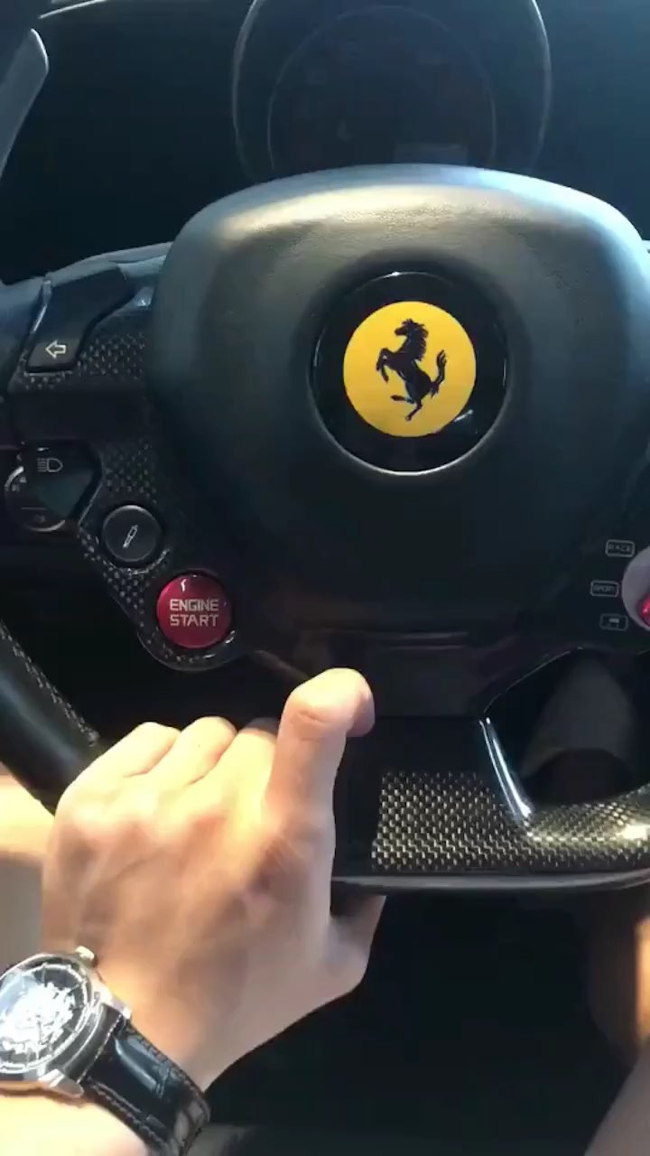 自从学会单手开法拉利确实世界变了