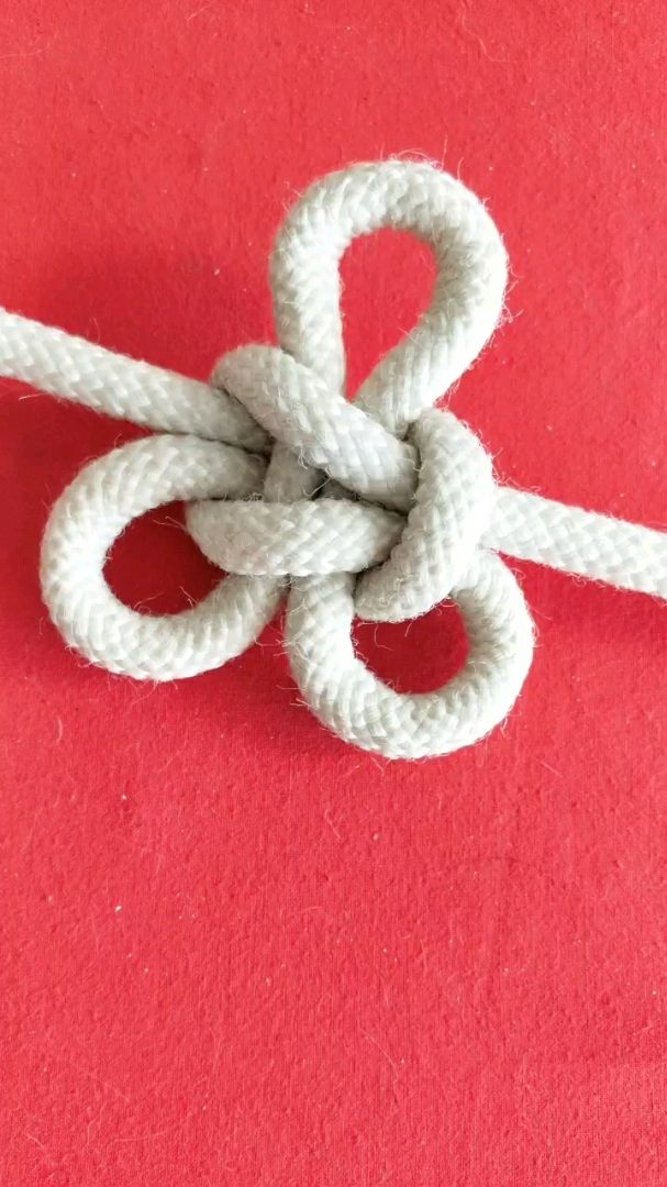 超级漂亮的攀缘结