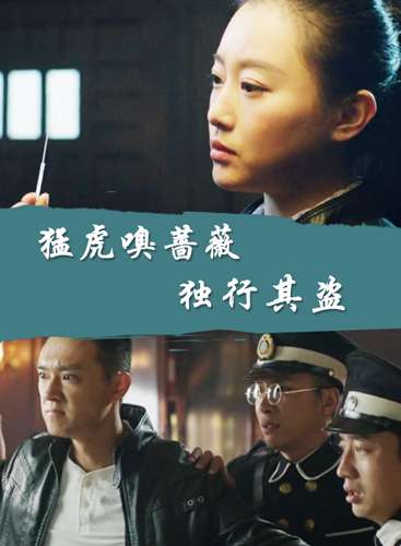 猛虎嗅蔷薇独行其普通话2017冒险剧情