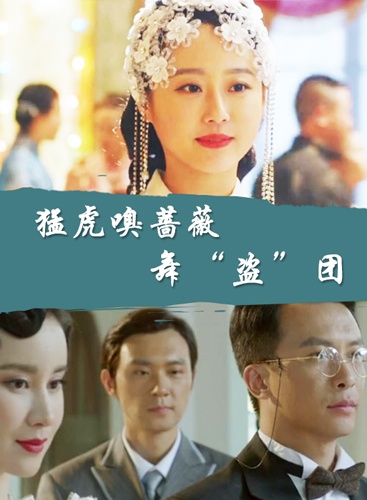 猛虎嗅蔷薇舞盗团