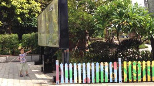 儿童视频,带你开心,美景小熊