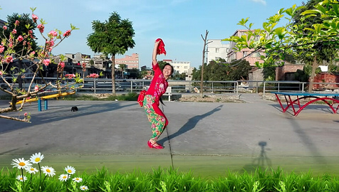 四川金元凤姐广场舞《荞麦花》