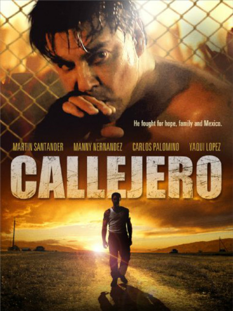 街头霸王2015动作剧情