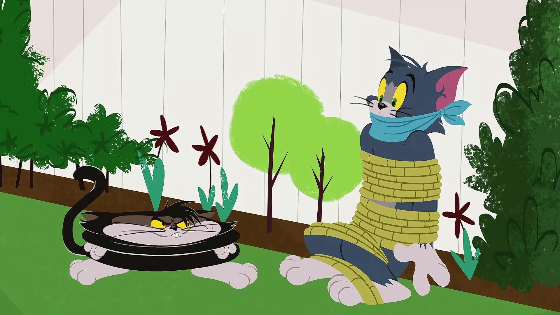 猫和老鼠:流浪猫用美食,吸引小老鼠,会上钩吗?