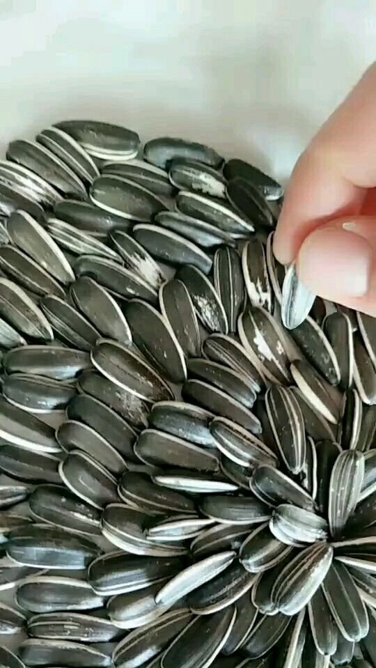 原以为只是一把瓜子,结果惊呆了!