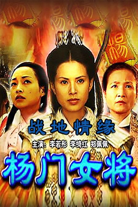 杨门女将12:战地情缘