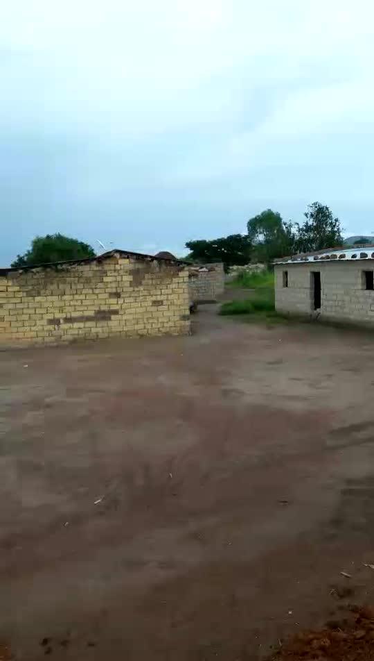 安哥拉农村小院干净的