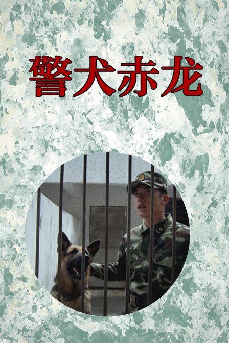 警犬电影黑虎图片