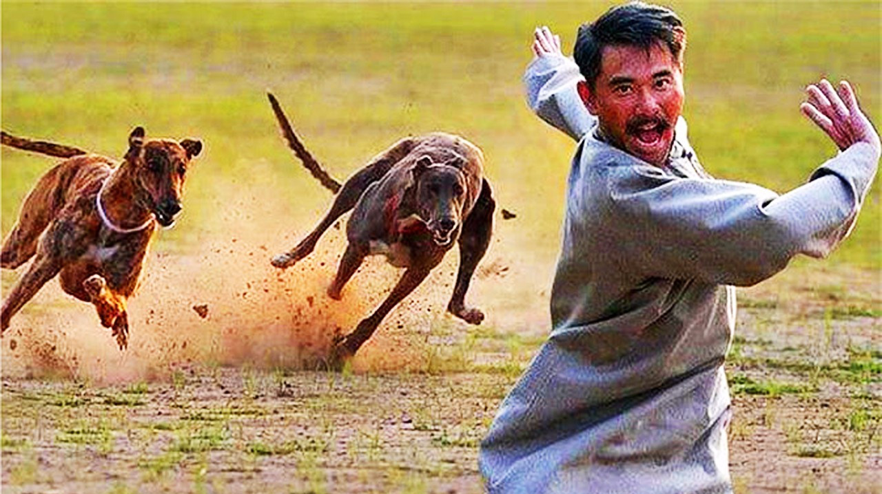 人被狗追的时候不要慌只用一招就能化解你这么干过吗