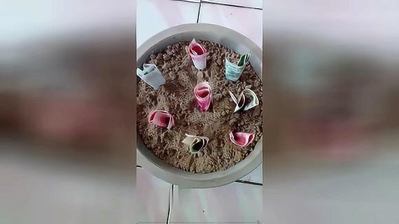 你见过种钱得钱的吗?哈哈 太搞笑 俗话说:种豆得豆,种瓜得瓜!