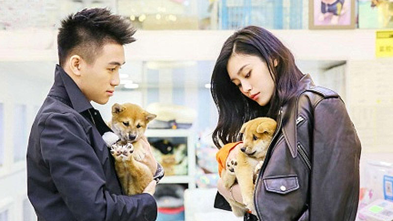 半是蜜糖半是伤 夫妻打架?