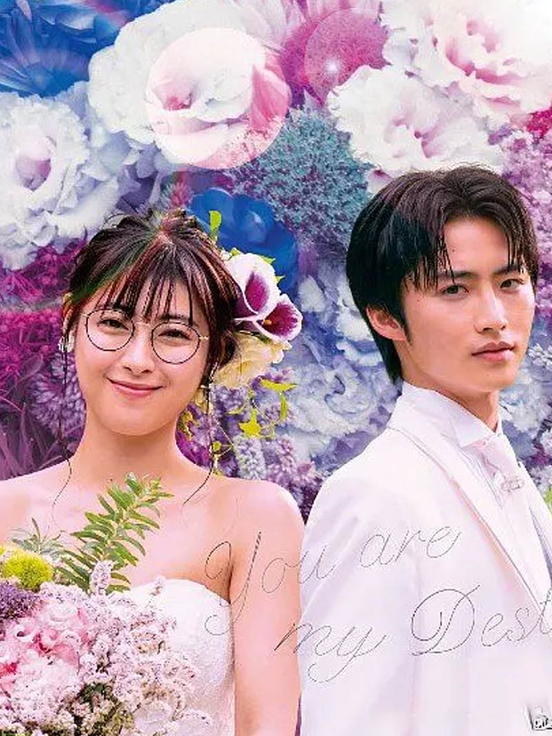 命中注定我爱你 日语-电视剧-高清在线观看-hao123影视