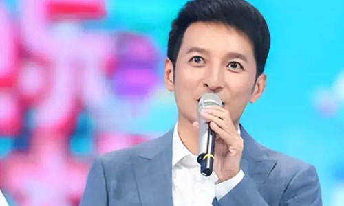 李维嘉回应回湖南卫视