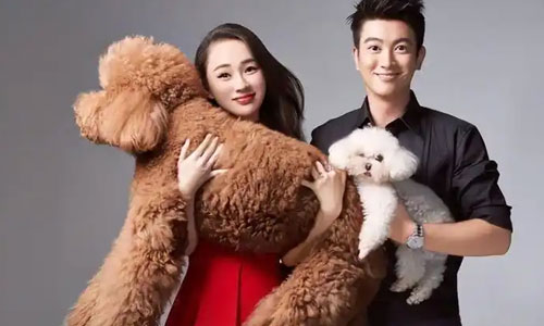 杜江夫妇散步被偶遇